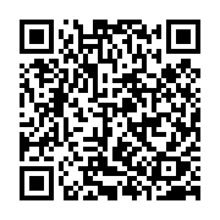 QR code for C8541X