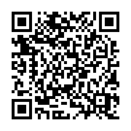 QR code for C9520T