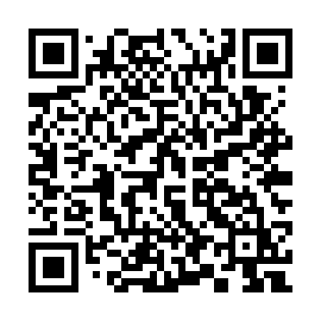 QR code for C95WSZ