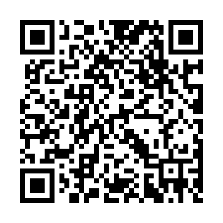 QR code for CA493T