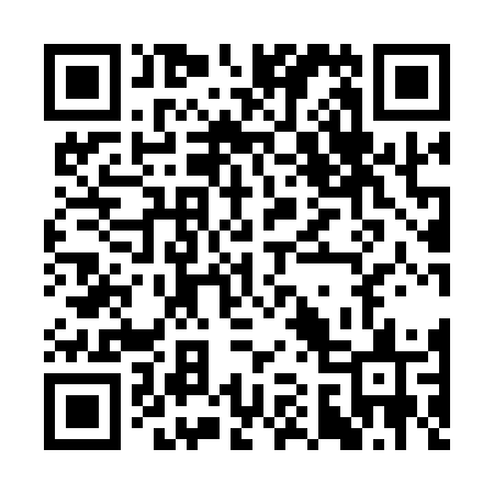 QR code for CA917S