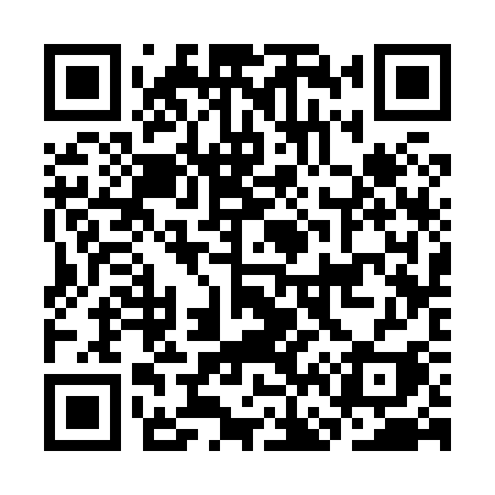 QR code for CF383I