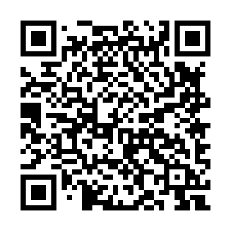 QR code for CH589B