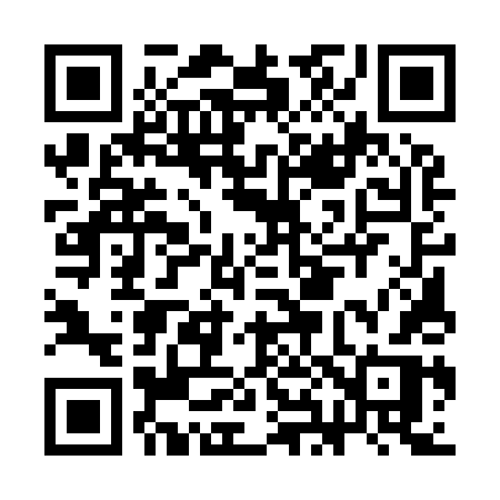 QR code for CH594R