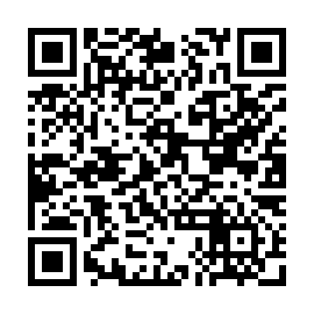 QR code for CHFI96