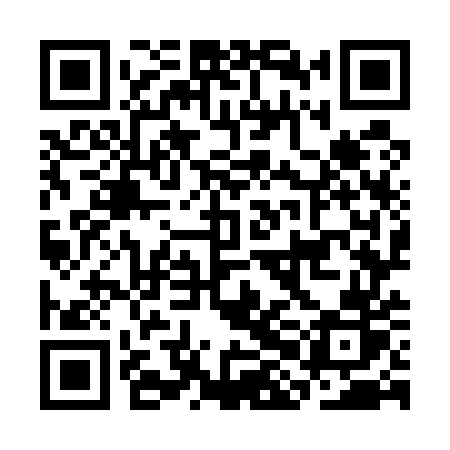 QR code for CHO55R