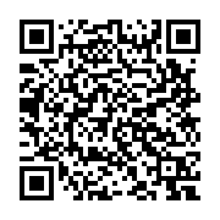 QR code for CHS17P