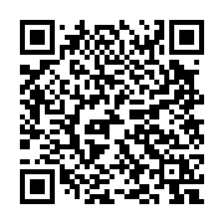 QR code for CI207X