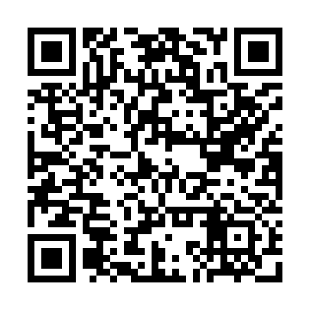 QR code for CKPI33