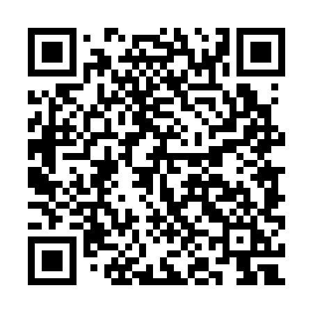 QR code for CN438I
