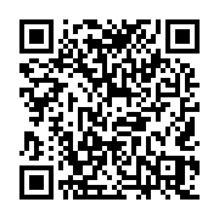QR code for CNY95Q