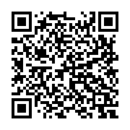 QR code for CO390S