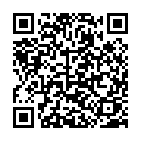 QR code for CT117P