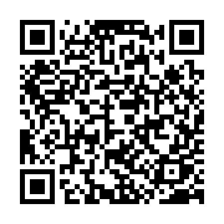 QR code for CT335P