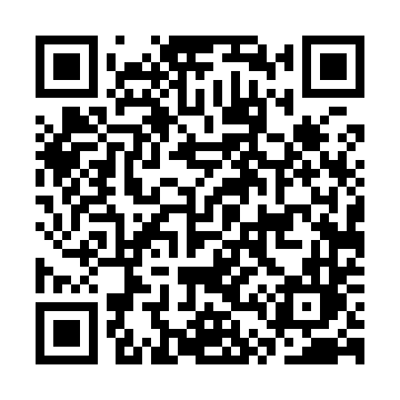 QR code for CT494L