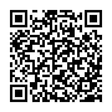 QR code for CT838T