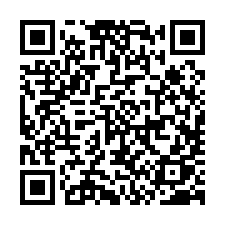 QR code for CV219P