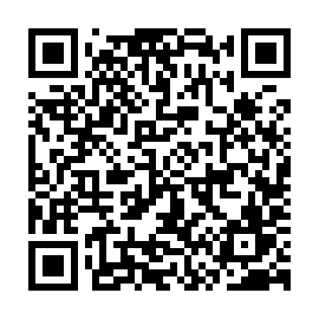 QR code for CV699V