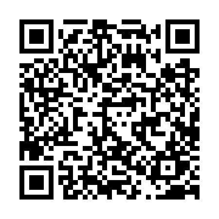 QR code for D007ZT