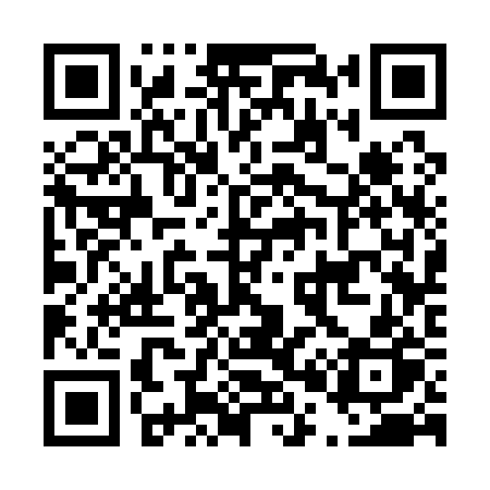 QR code for D0312P