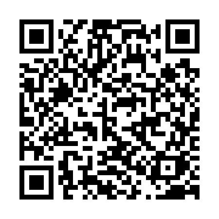 QR code for D0377K