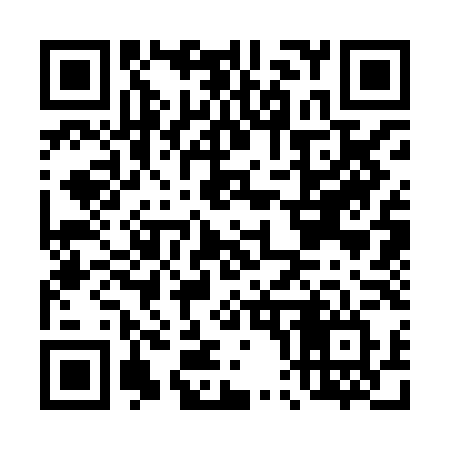 QR code for D038LV