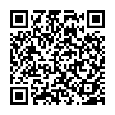 QR code for D038QH