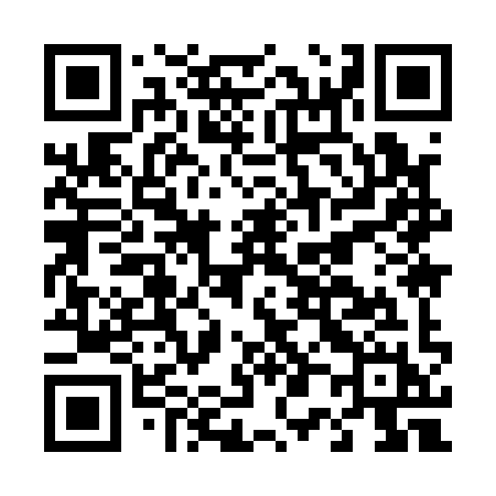 QR code for D0919H