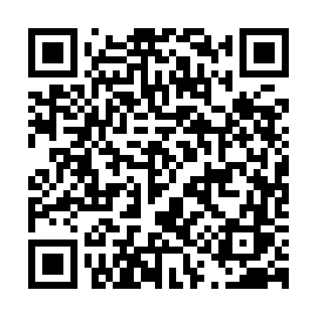 QR code for D119FS