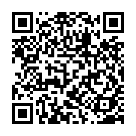 QR code for D13OII