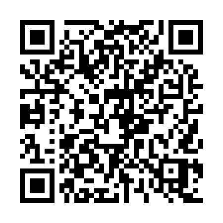 QR code for D2095P
