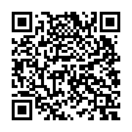 QR code for D2666P