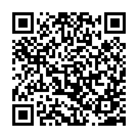 QR code for D2704T