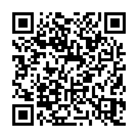 QR code for D3113S