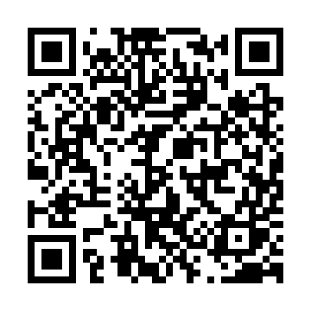 QR code for D313US