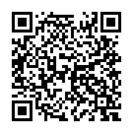 QR code for D335XU