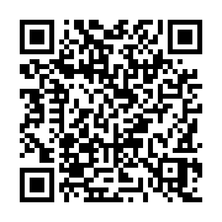 QR code for D385IR