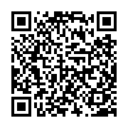 QR code for D50WIP