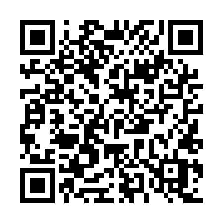 QR code for D541LT