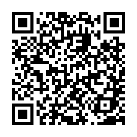 QR code for D733LI