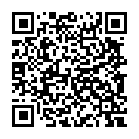 QR code for DBL48N