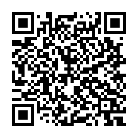 QR code for DD314S
