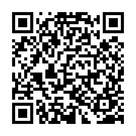 QR code for DDK55T