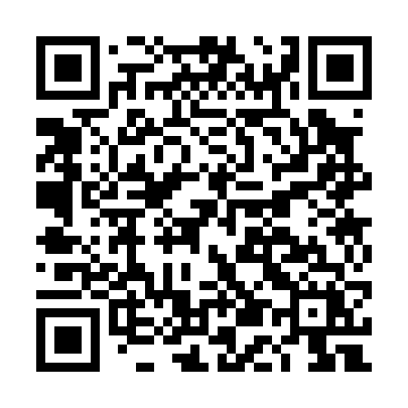 QR code for DE306X