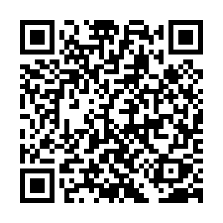 QR code for DE307Y