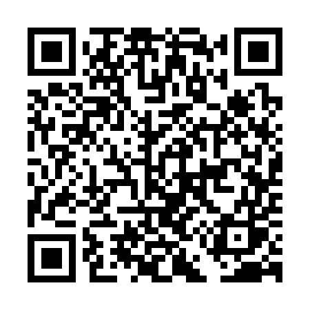 QR code for DE335S