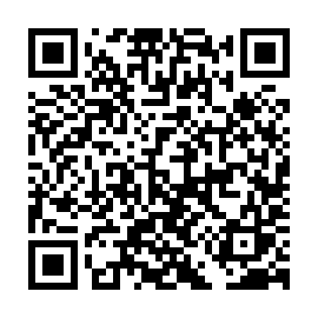 QR code for DE689S
