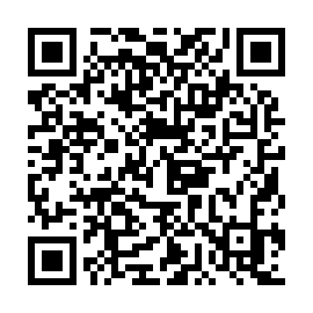 QR code for DG193K