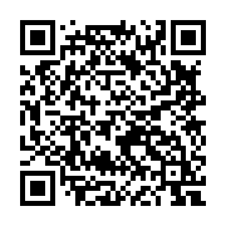 QR code for DG381Z