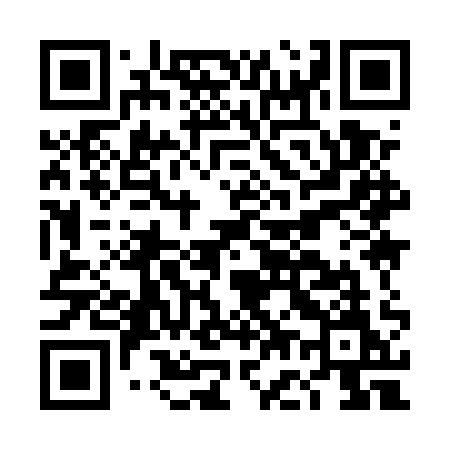 QR code for DG95QM